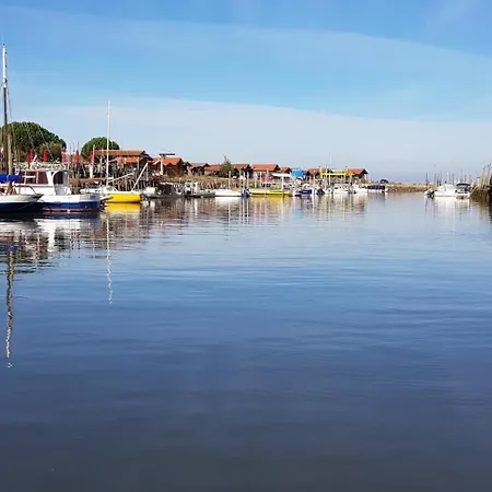 6 Personnes Bassin D'arcachon شاليه *