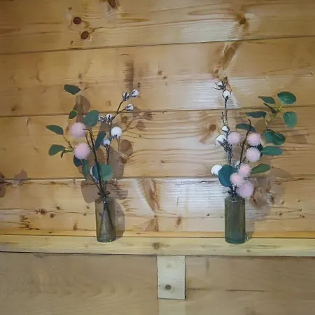 Chalet Chalet Cosy Linge Et Menage Inclus Bassin D'Arcachon *
