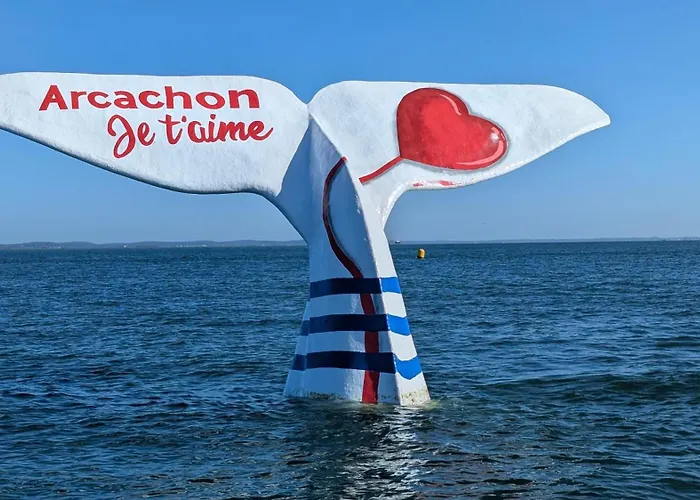 6 Personnes Bassin D'arcachon *